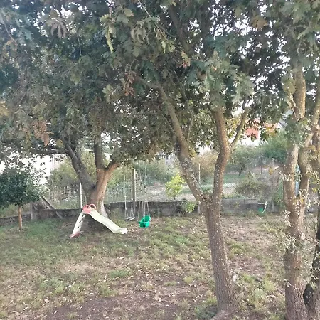 El Rinconcito De